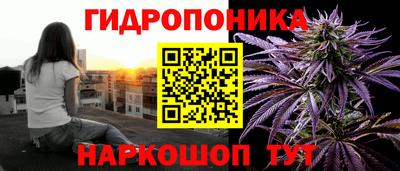 прущие грибы Малоярославец