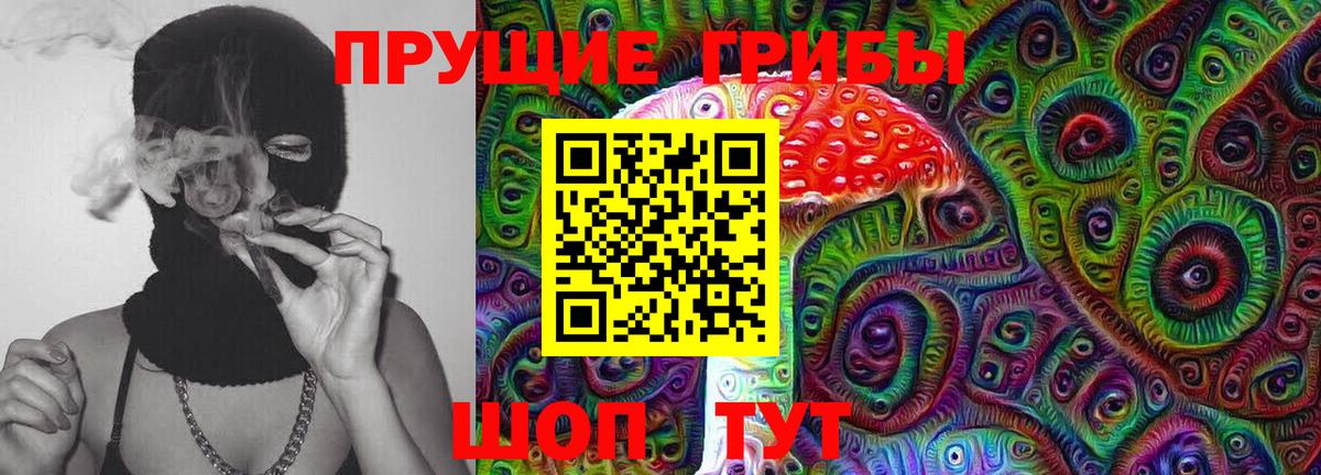 Галлюциногенные грибы Cubensis  наркота  Среднеуральск  Вход с VPN 